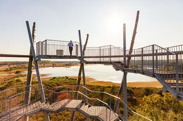 Beeld bij De Brabantse Kempen: van heide naar weide