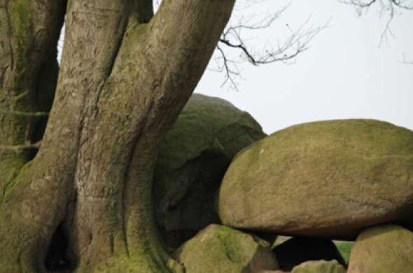 Beeld bij Hunebedroute