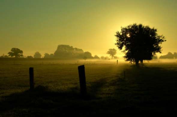 Beeld bij Veluws landschap