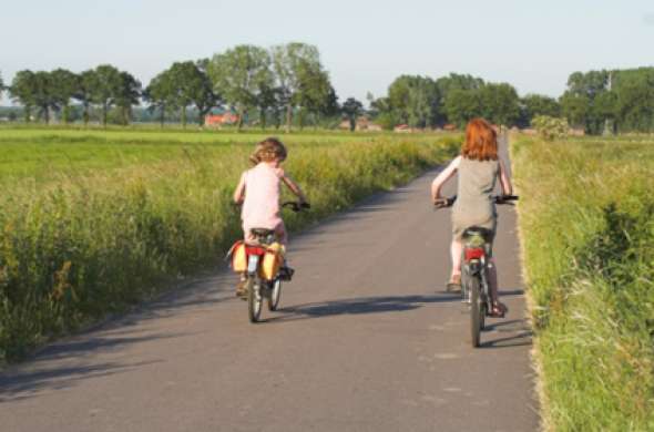 Beeld bij Fietsroute Recreatiegebied 'de Gouden Ham'