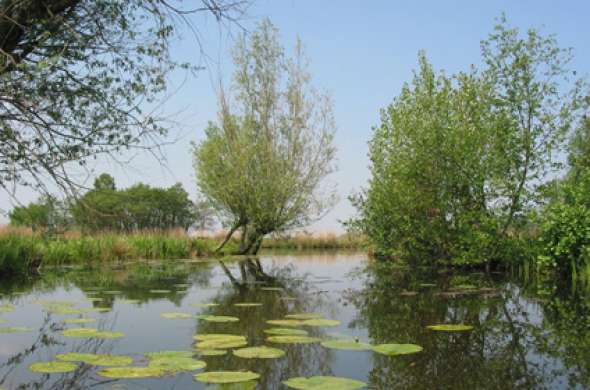 Beeld bij Nieuwkoopse Plassen en Woerden