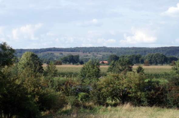 Beeld bij Berg en dal, Mookerheide