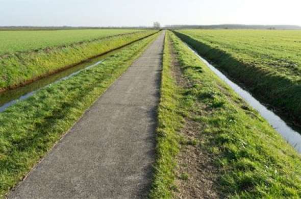 Beeld bij Fietstocht Woudbloem