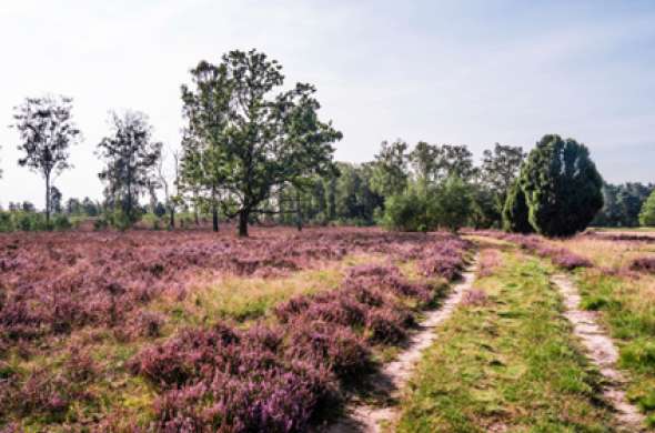 Beeld bij Fietsroute Hoogezand-Sappemeer