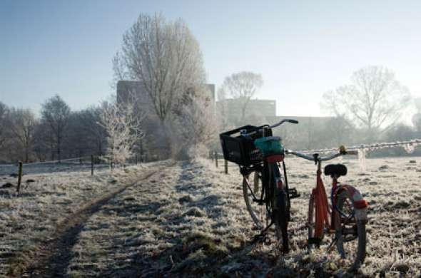 Beeld bij Eindhoven Museum (Openluchtmuseum) - Eindhoven - 38 km