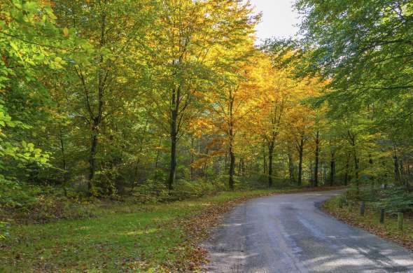 Beeld bij Heerlijke pannenkoeken in Lage Vuursche