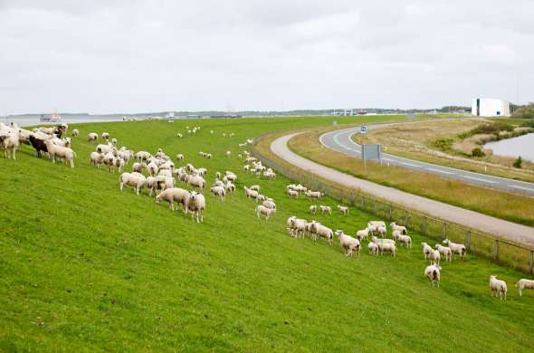 Beeld bij Rondje Lauwersmeer met Lauwersoog en de Robbengatsluis