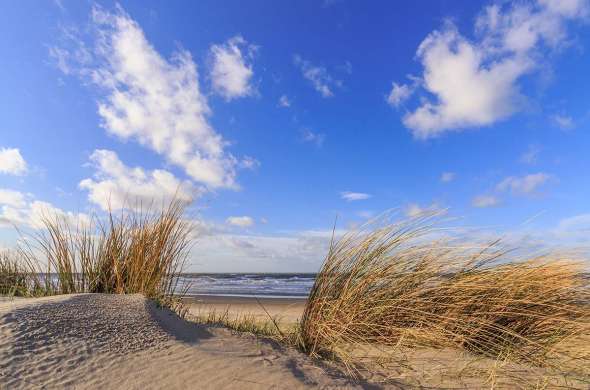 Beeld bij Door de duinen bij Beverwijk