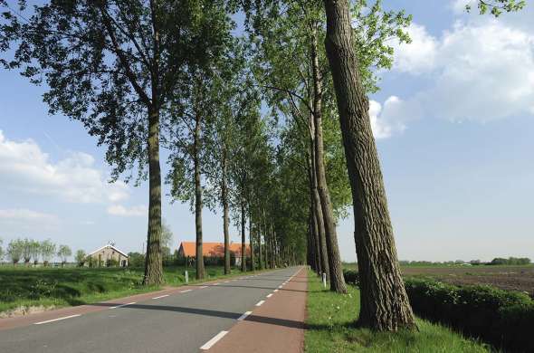 Beeld bij Zwemmen in de Wijthmenerplas