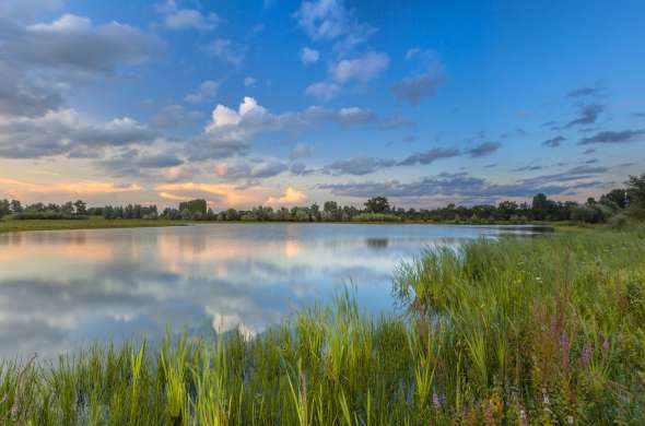 Beeld bij De Blauwe Kamer