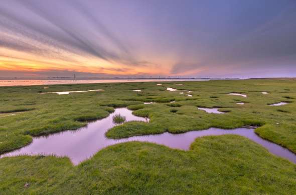 Beeld bij Langs de Dollard