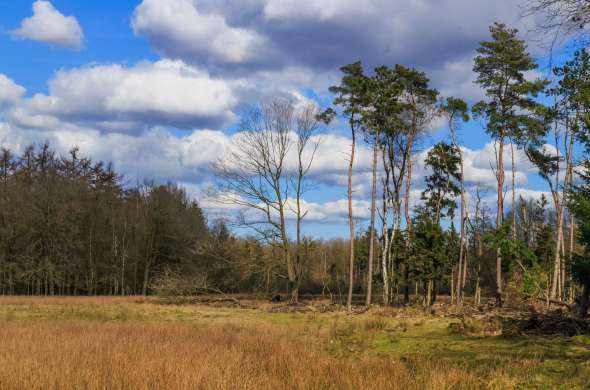 Beeld bij Drents-Friese Woldroute