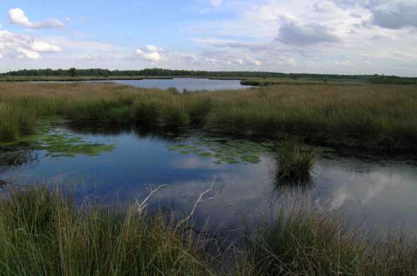 Beeld bij De Groote Peel