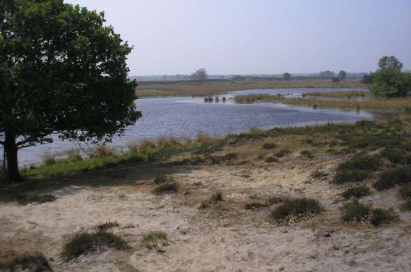 Beeld bij Kampina