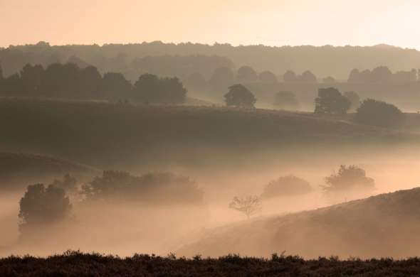 Beeld bij De Veluwezoom