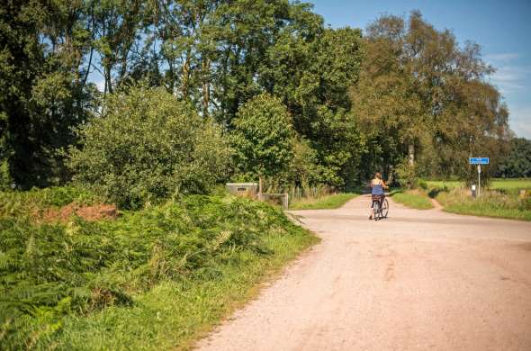 Beeld bij De Oost-Achterhoek