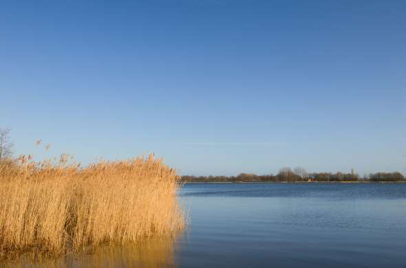 Beeld bij Rond het Veluwemeer