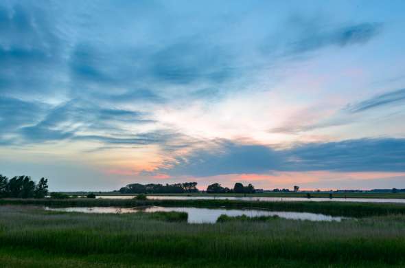 Beeld bij Uitzicht op de Duursche Waarden