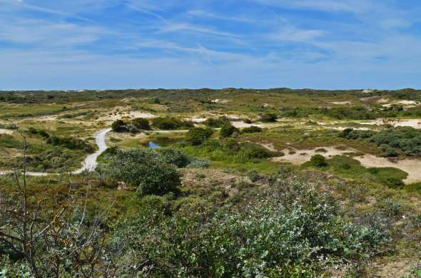 Beeld bij Hollandse Duinen: een nieuw Nationaal Park