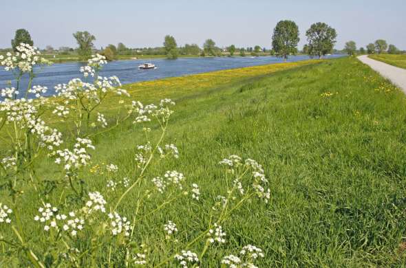 Beeld bij Vestingsteden aan de Bergsche Maas