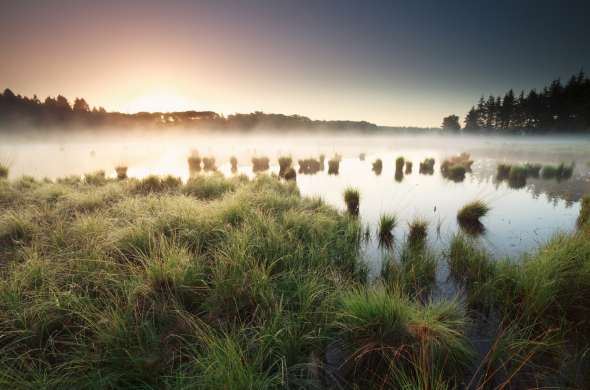 Beeld bij Esdorpen en hunebedden op de Drentse zandruggen