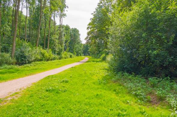 Beeld bij Het grootste loofbos van Nederland