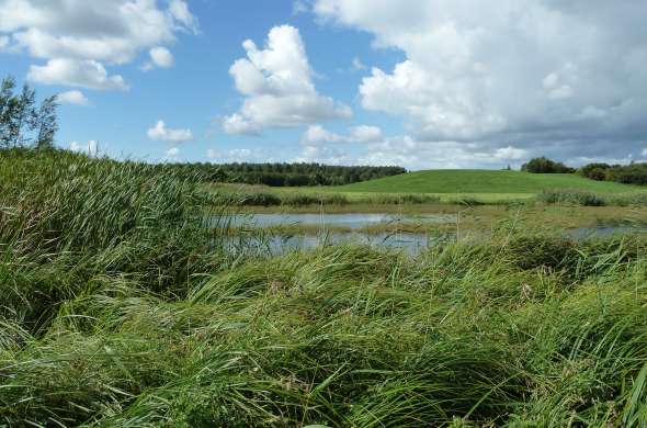 Beeld bij Recreatiebossen bij Delft en Rotterdam