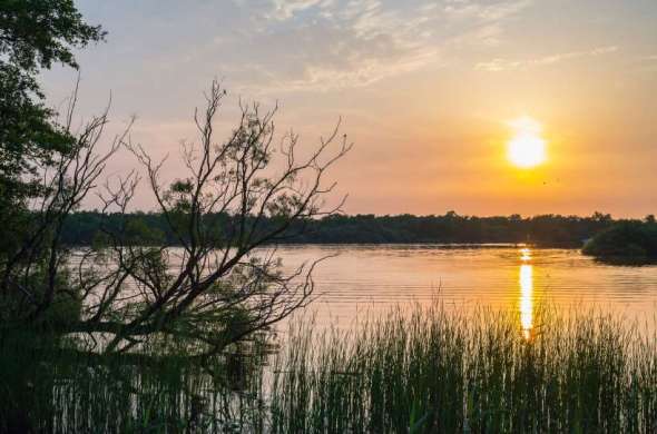 Beeld bij Nationaal Park de Alde Feanen: korte route