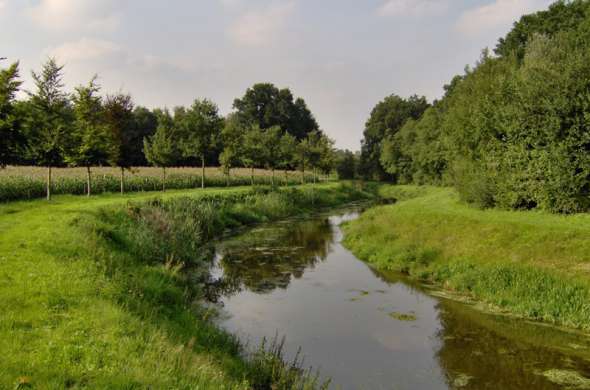 Beeld bij Langs de Bornse Beek