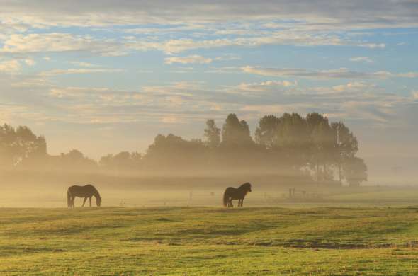 Beeld bij De berg van de ‘heks’