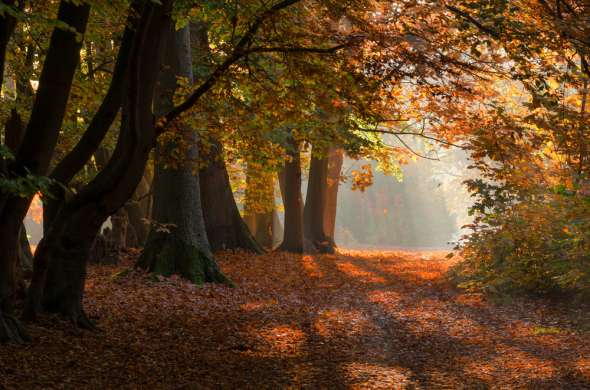 Beeld bij Het Venakkerbos en de Stevensbergen