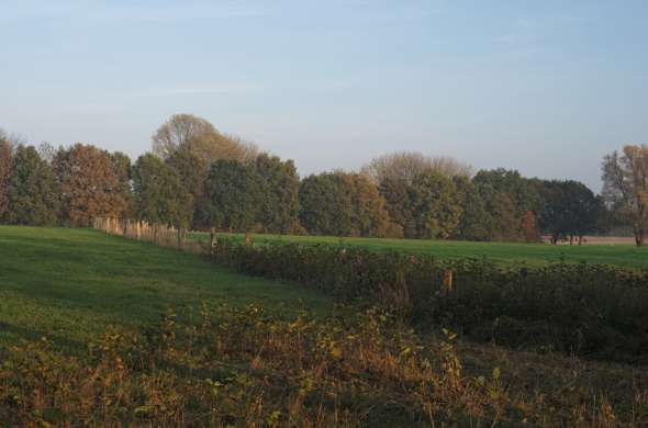 Beeld bij Het Twents Heuvelgebied