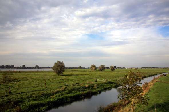 Beeld bij De Maasheggen: het tweede Unesco Biosfeerreservaat van Nederland