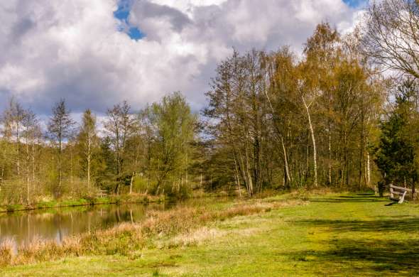 Beeld bij Lageveldroute