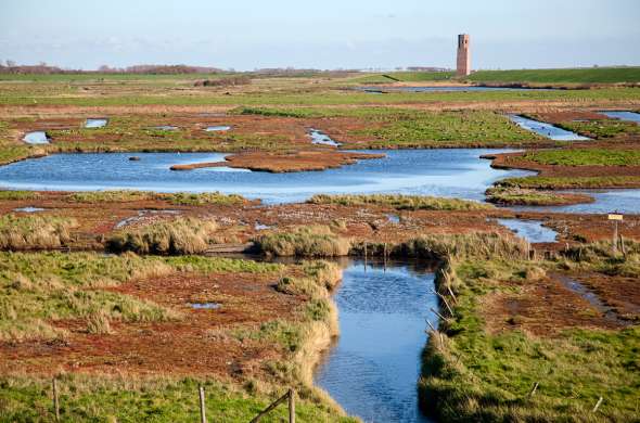 Beeld bij De natuur van Westenschouwen