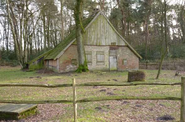 Beeld bij Rutbeek en het Buurserzand