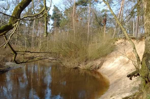 Beeld bij Lutterzandroute