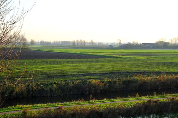 Beeld bij Het Zuidwestelijk Zeekleigebied