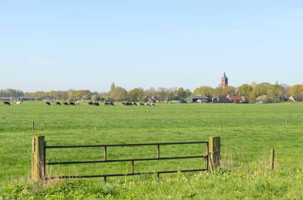 Beeld bij Het Eemland en de bossen van de Vuursche