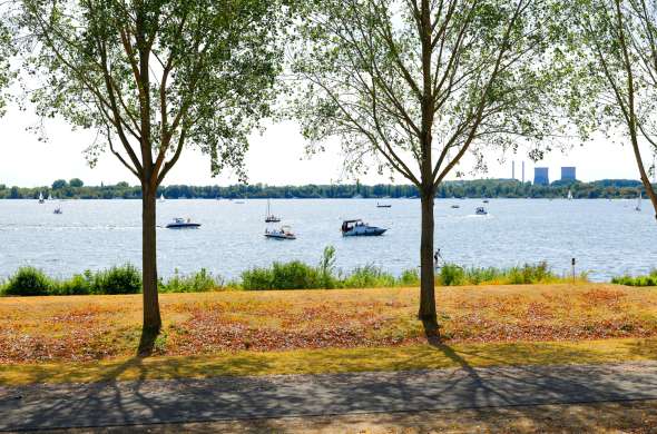 Beeld bij Het water van het Maasland