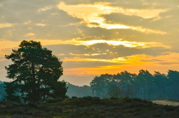 Beeld bij Over de Veluwe