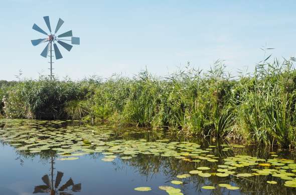 Beeld bij De Nieuwkoopse Plassen en De Groene Jonker