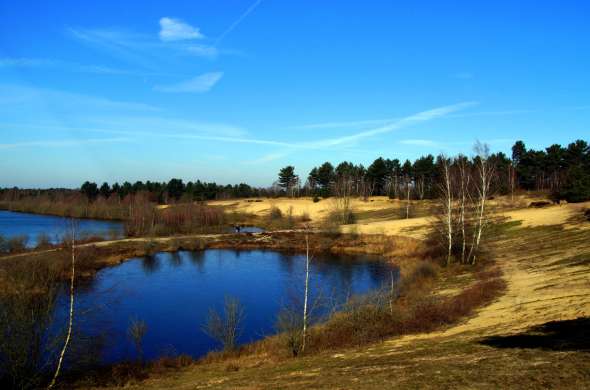 Beeld bij Paraboolduinen langs de Maas