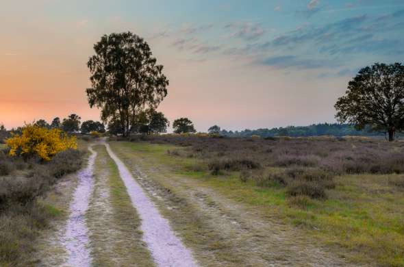 Beeld bij Landgoederen op de Heuvelrug