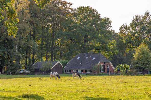 Beeld bij Gelderland - Omgeving Borculo