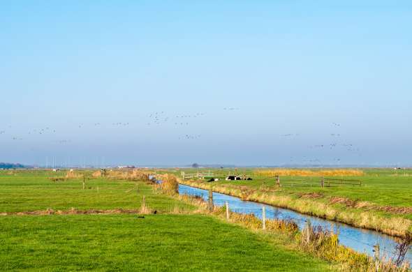 Beeld bij De Eempolder bij Eemnes