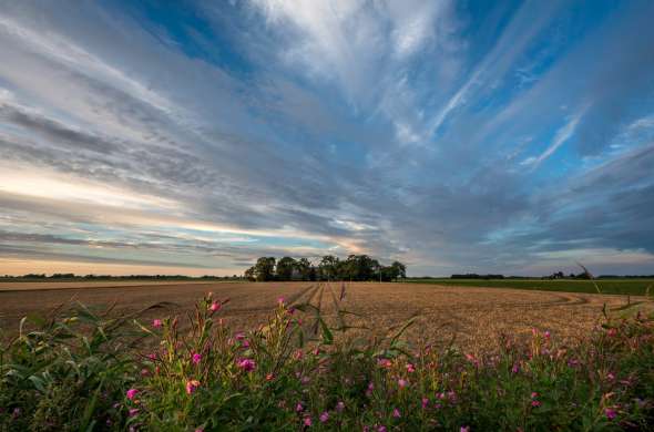 Beeld bij Groningen - Het Hogeland