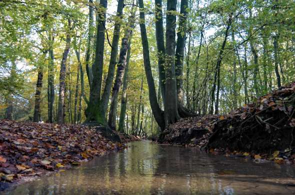 Beeld bij Ulvenhoutse Bos