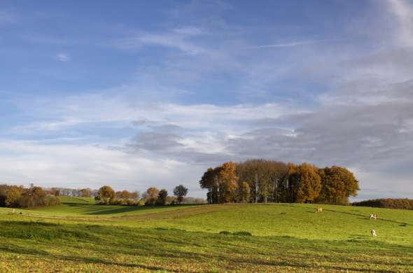 Beeld bij Genieten rond Groesbeek