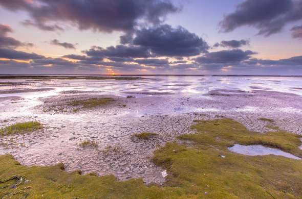 Beeld bij Ervaar de rust van de Groninger Waddenkust